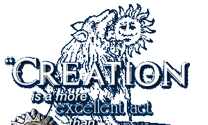 Creation is a more excellent act than illumination.
